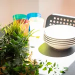 Faleria Second By Rental In Rome